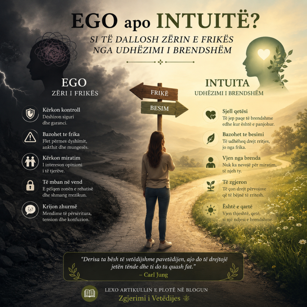 Dallimi vizual mes vendimarrjes me ego dhe intuite.